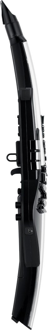 ROLAND AE-30 Aerophone Pro Seitenansicht
