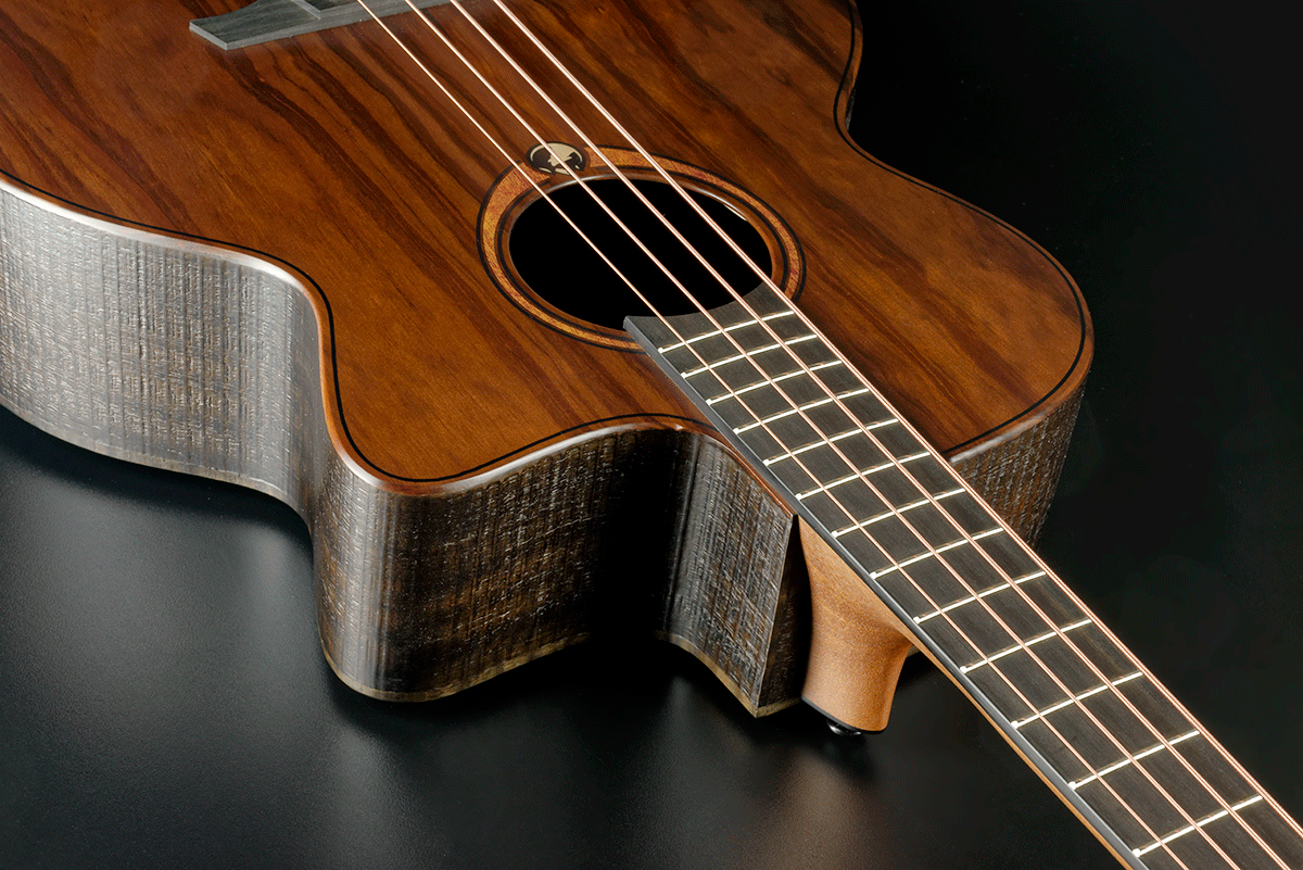 Sauvage BCE Acoustic Bass Elektroakustisch