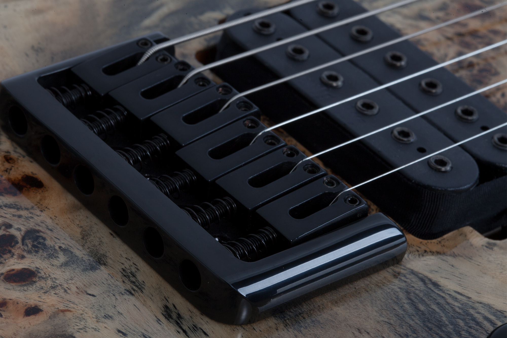 C-6 Pro E-Gitarre in Charcoal Burst