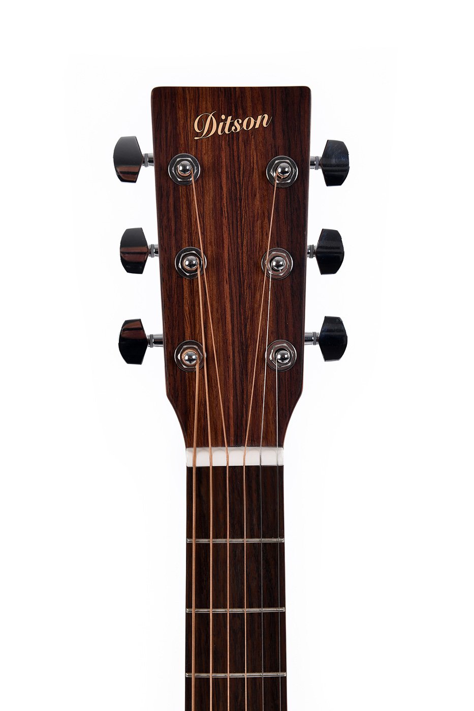 000C-15E Ditson Gitarre