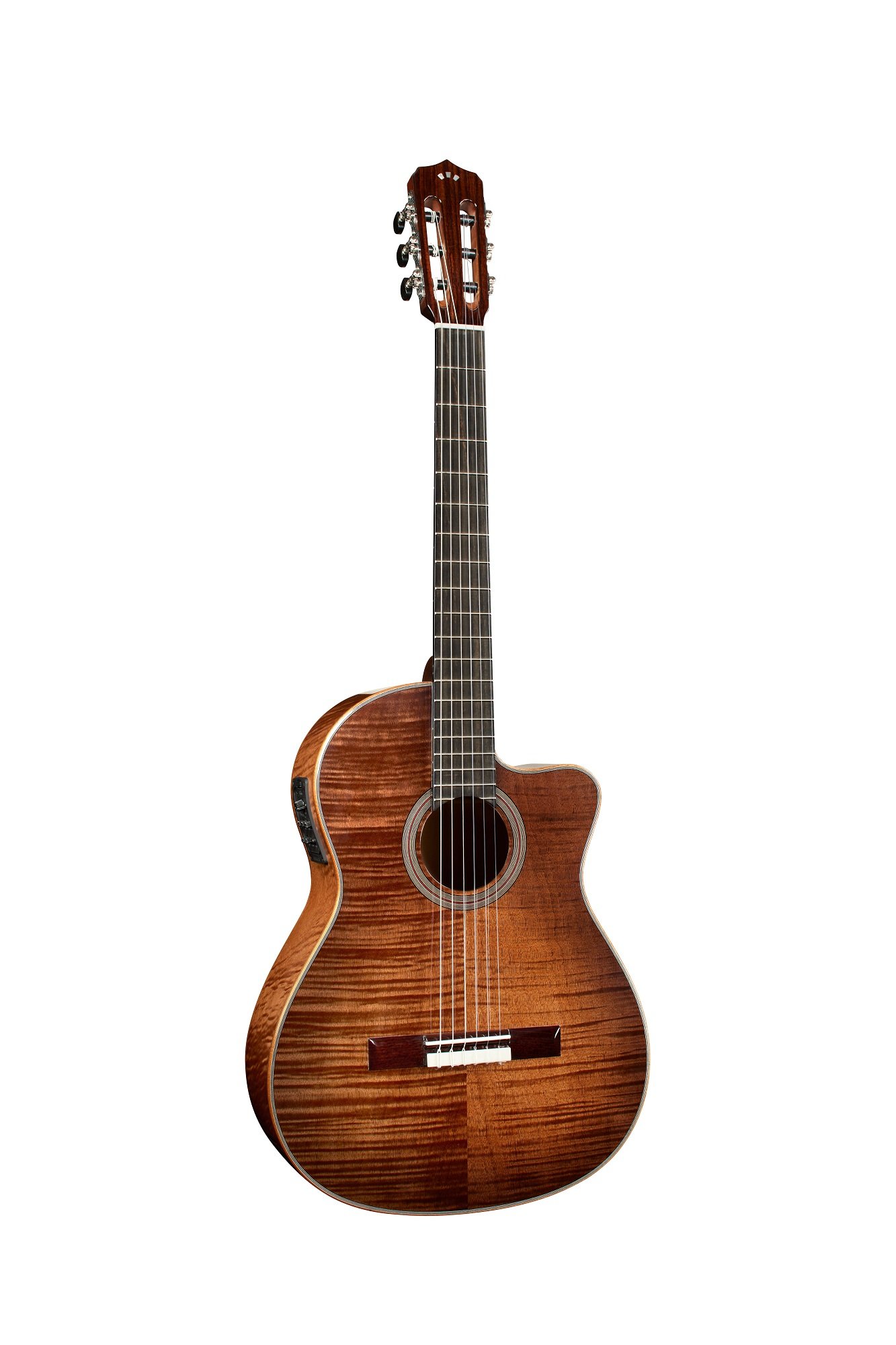 Fusion 12 Cinnamon Burst