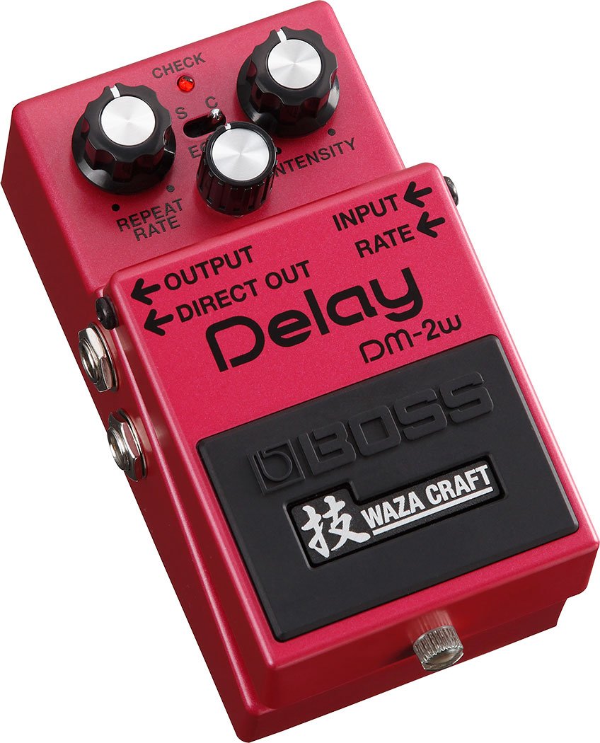 DM-2W Delay