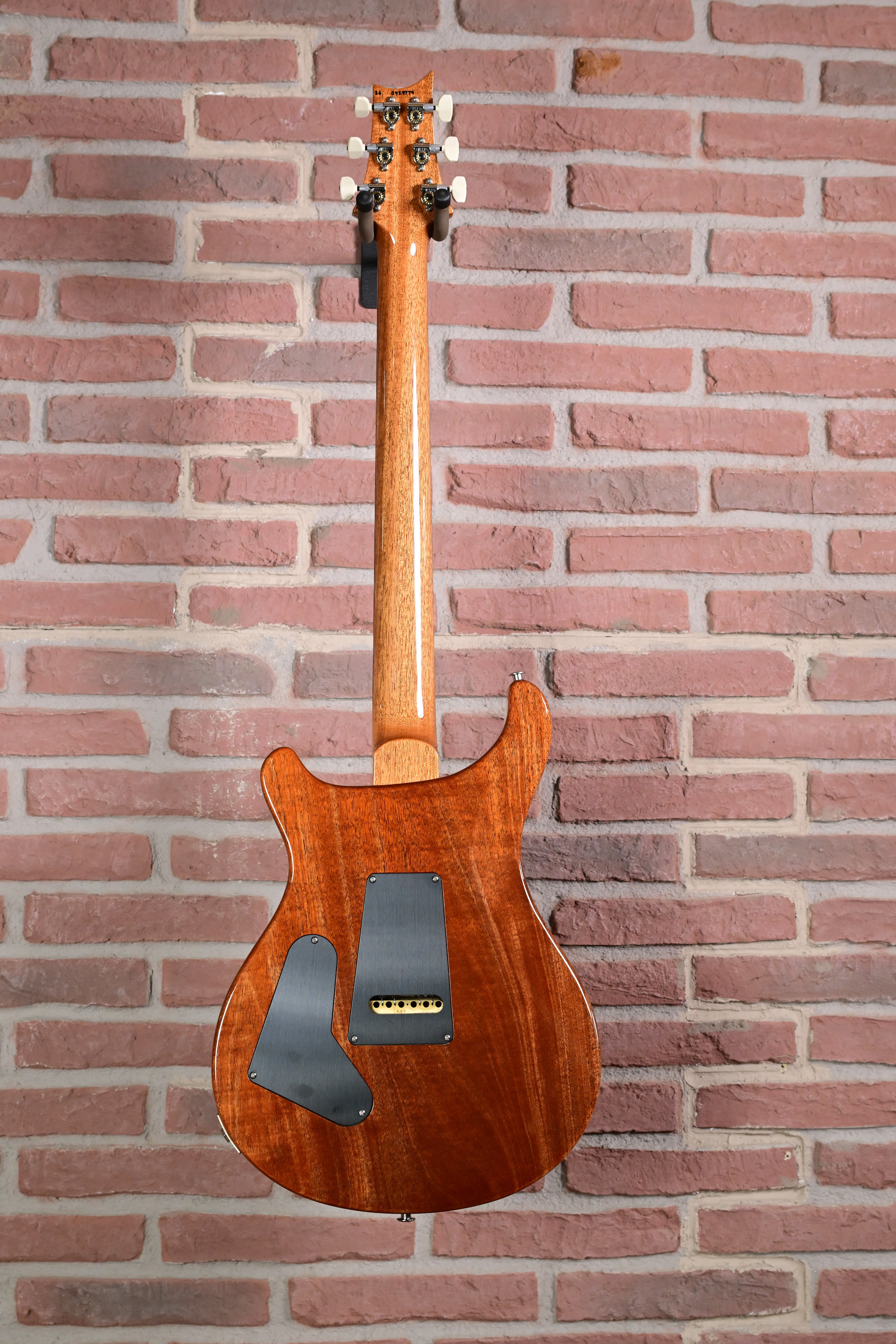 Custom 24 Birds of a Feather Limited Charcoal Microburst E-Gitarre