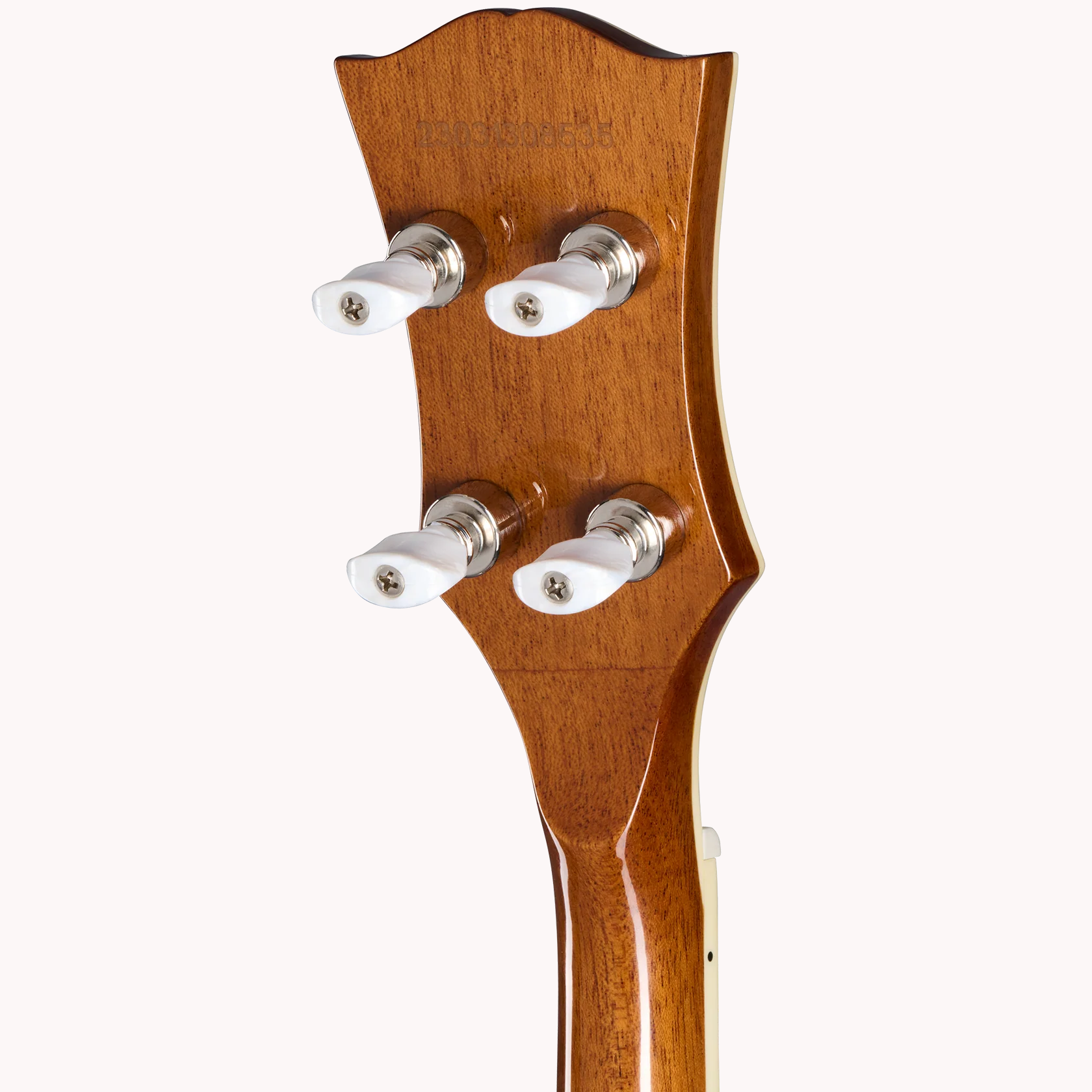 Mastertone   Bowtie Open Back Banjo