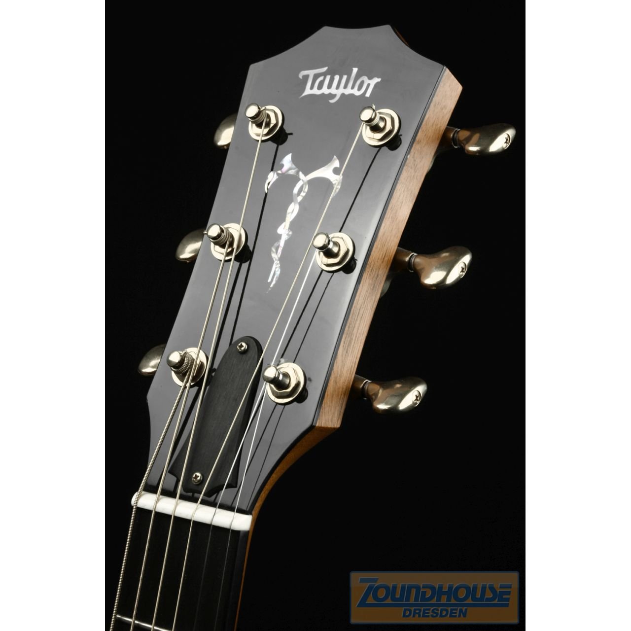 Custom GA - Custom Westerngitarre mit Tonabnehmer