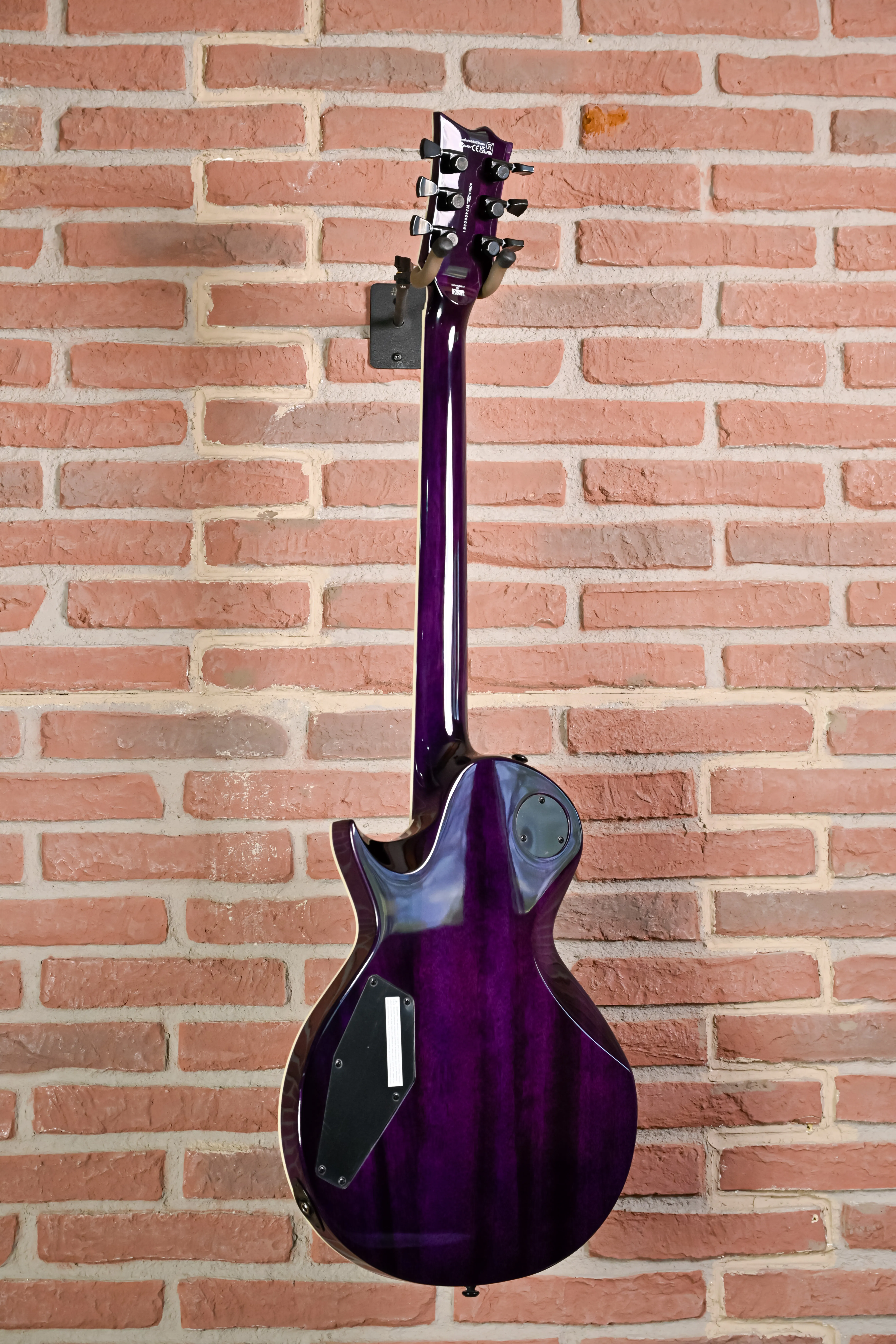EC-1000 FMSTP Flamed Maple See Thru Purple E-Gitarre