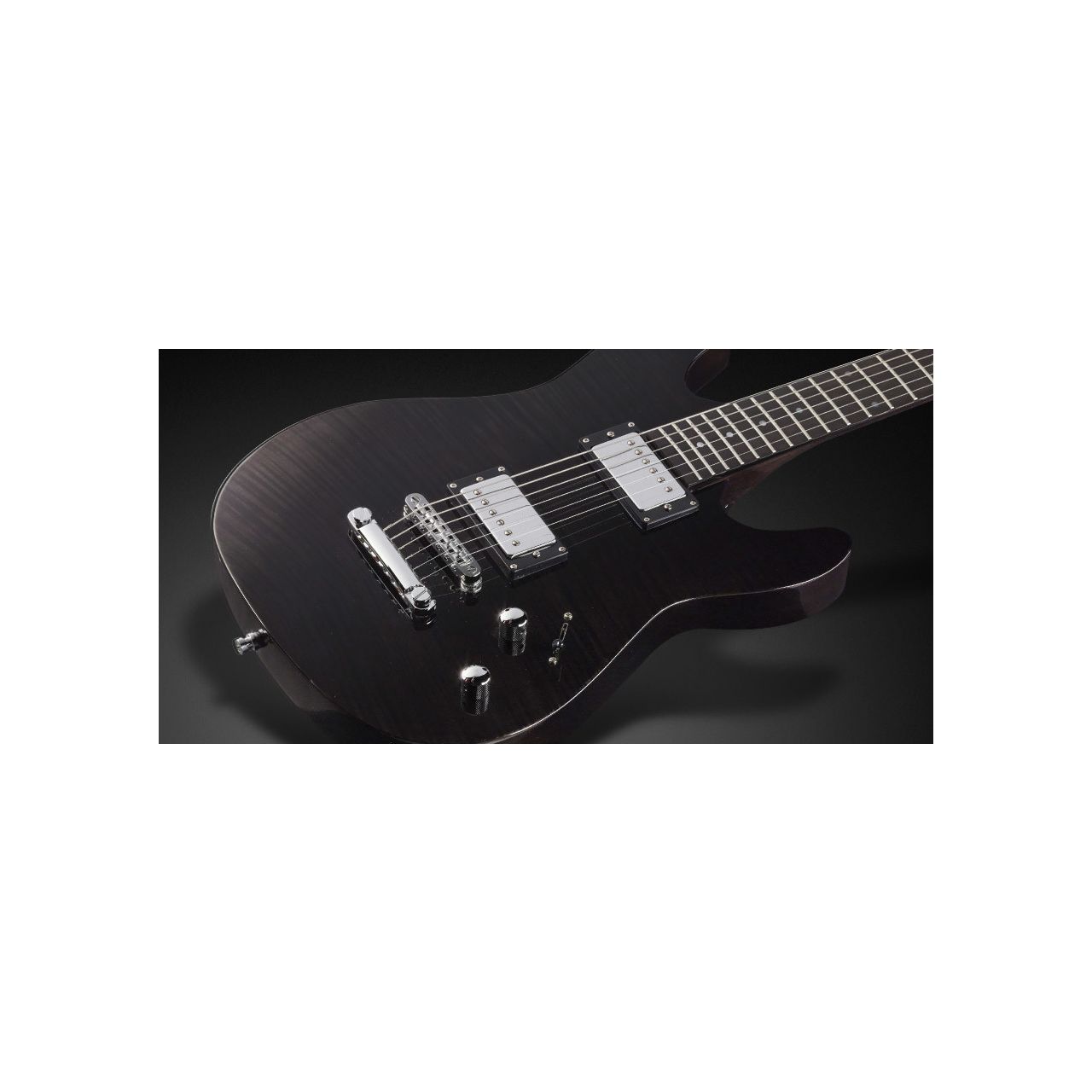FDS Diablo Pro Nirvana Black - E-Gitarre