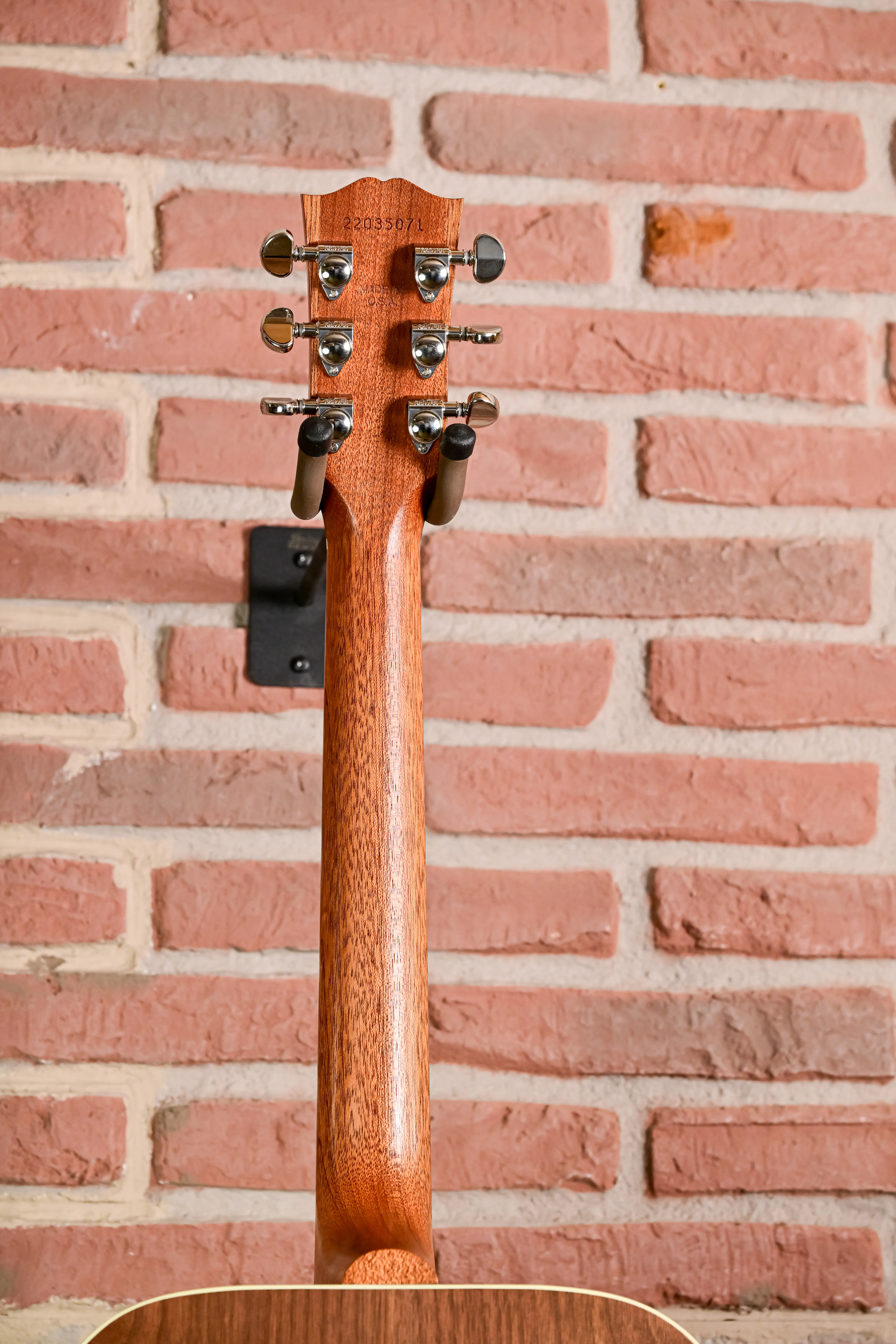 Hummingbird Studio Walnut  Natural
