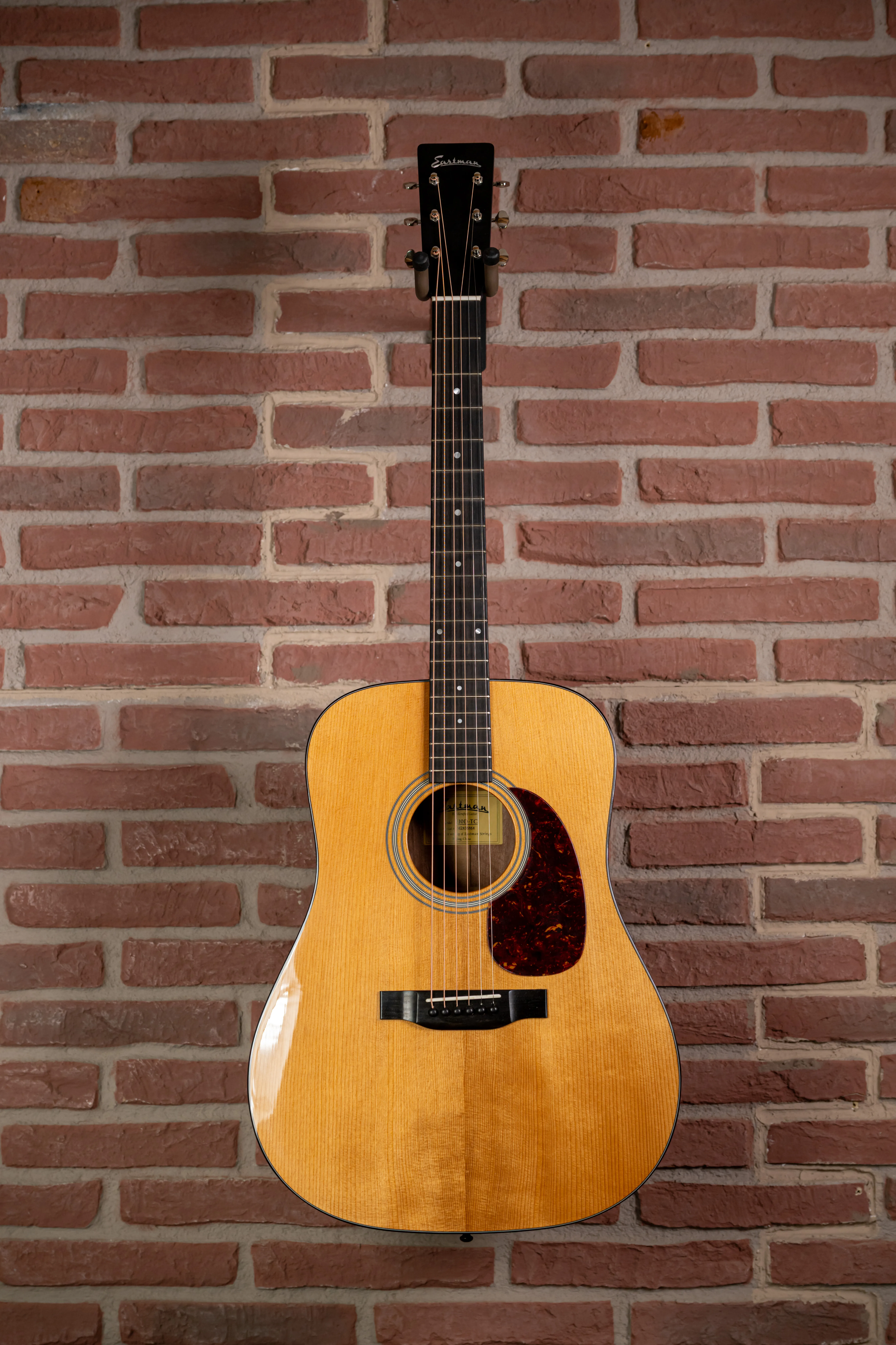 E10D-TC Thermo Cured Dreadnought