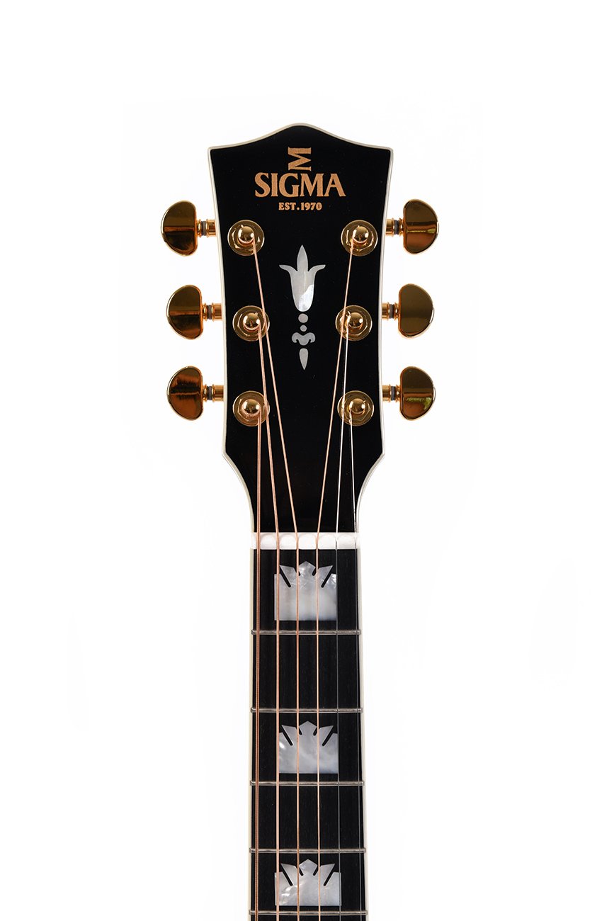 SGJA-SG200-VSB