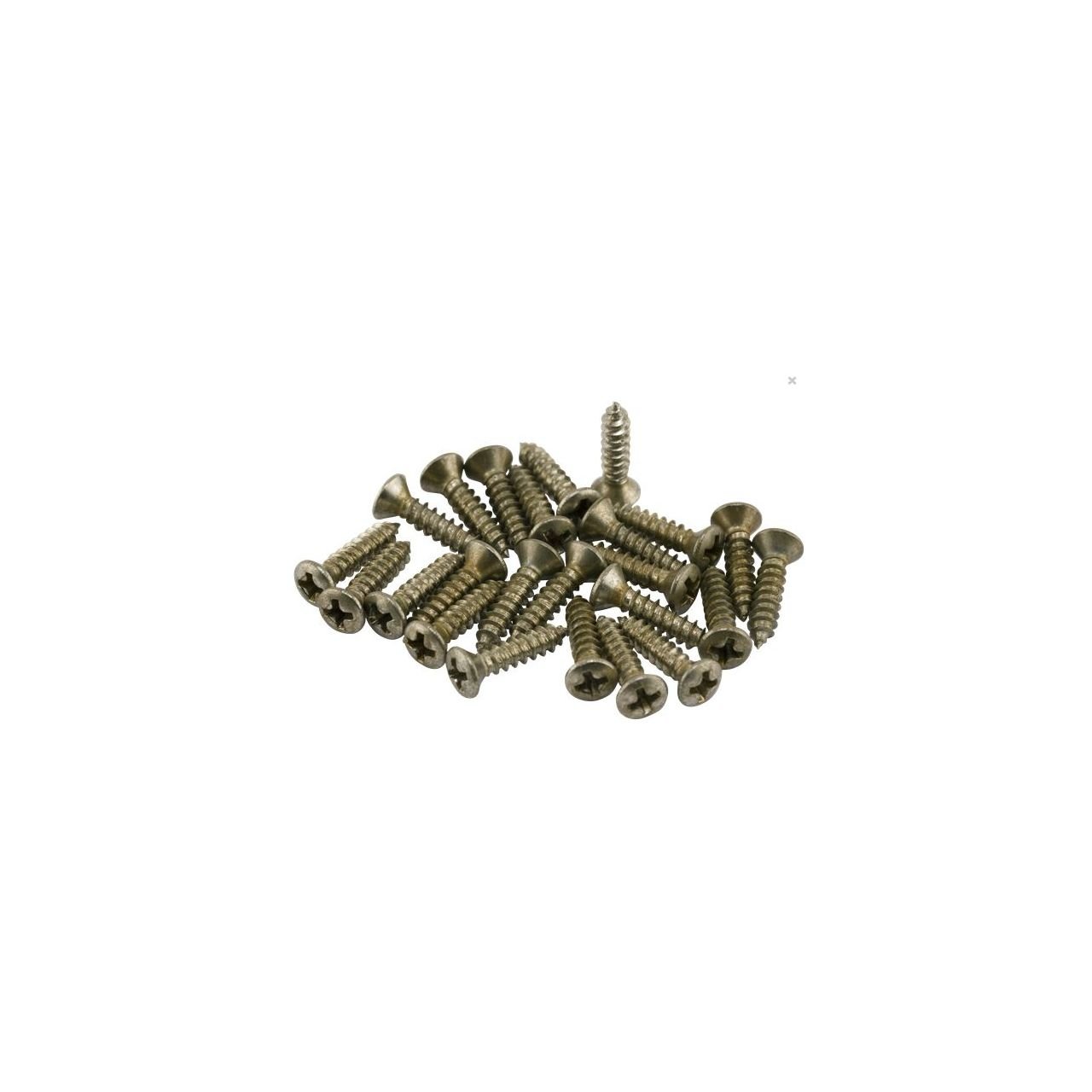 Road Worn Pickguard Control Plate Screws (24)
