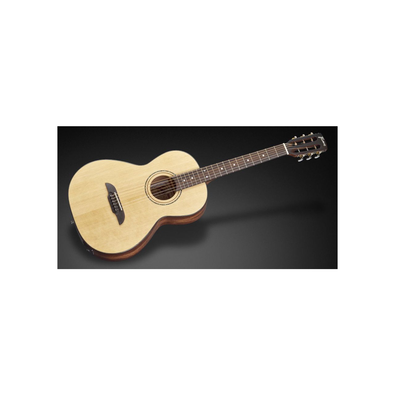 Legacy Series FP 14 SV Parlor, with EQ - Vintage Transparent High Polish Natural Tinted (B-Ware)