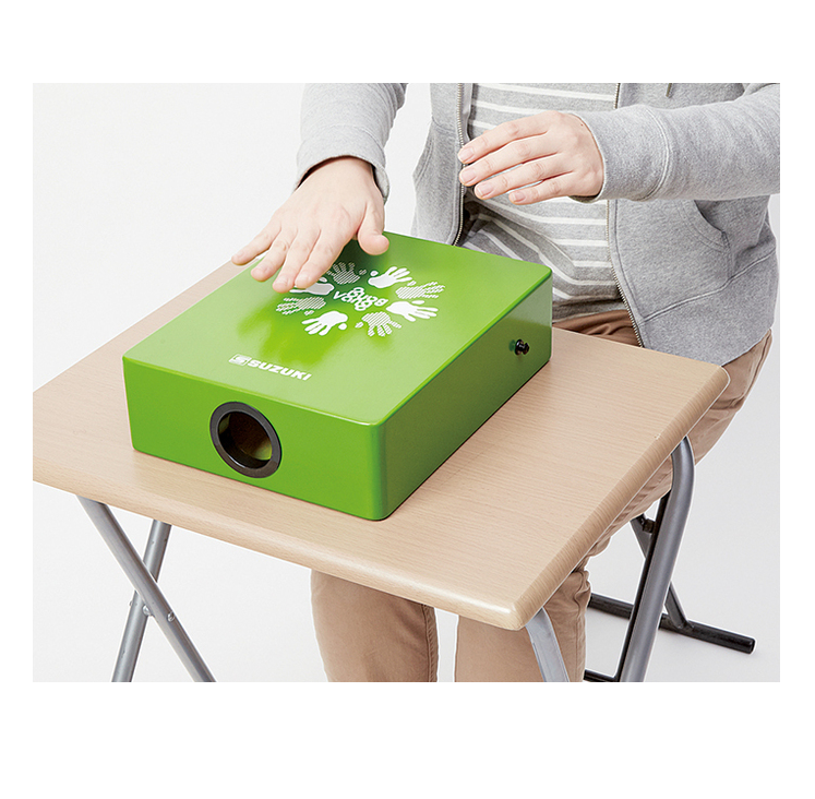 LTC-1G Laptop Cajon Grün