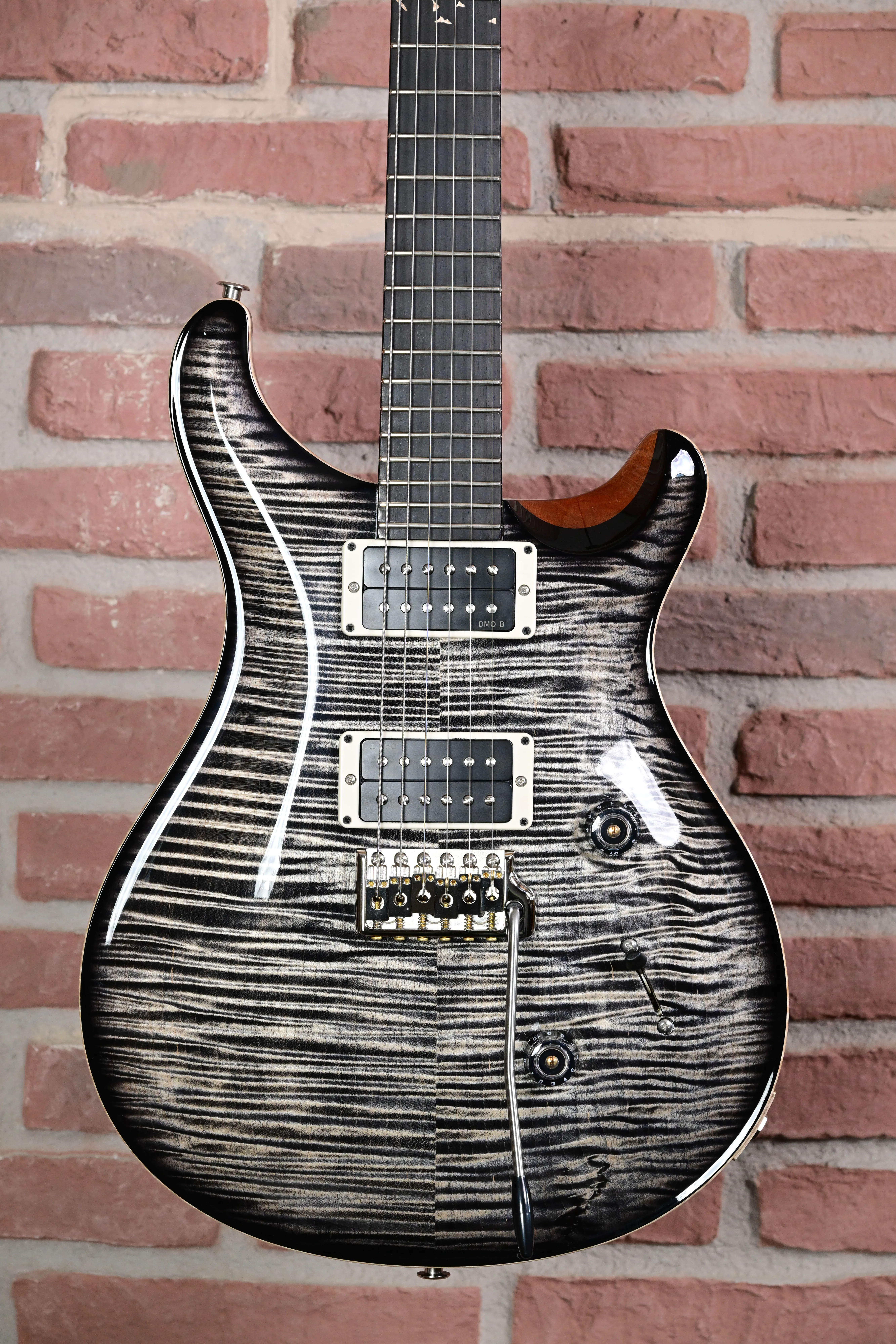 Custom 24 Birds of a Feather Limited Charcoal Microburst E-Gitarre