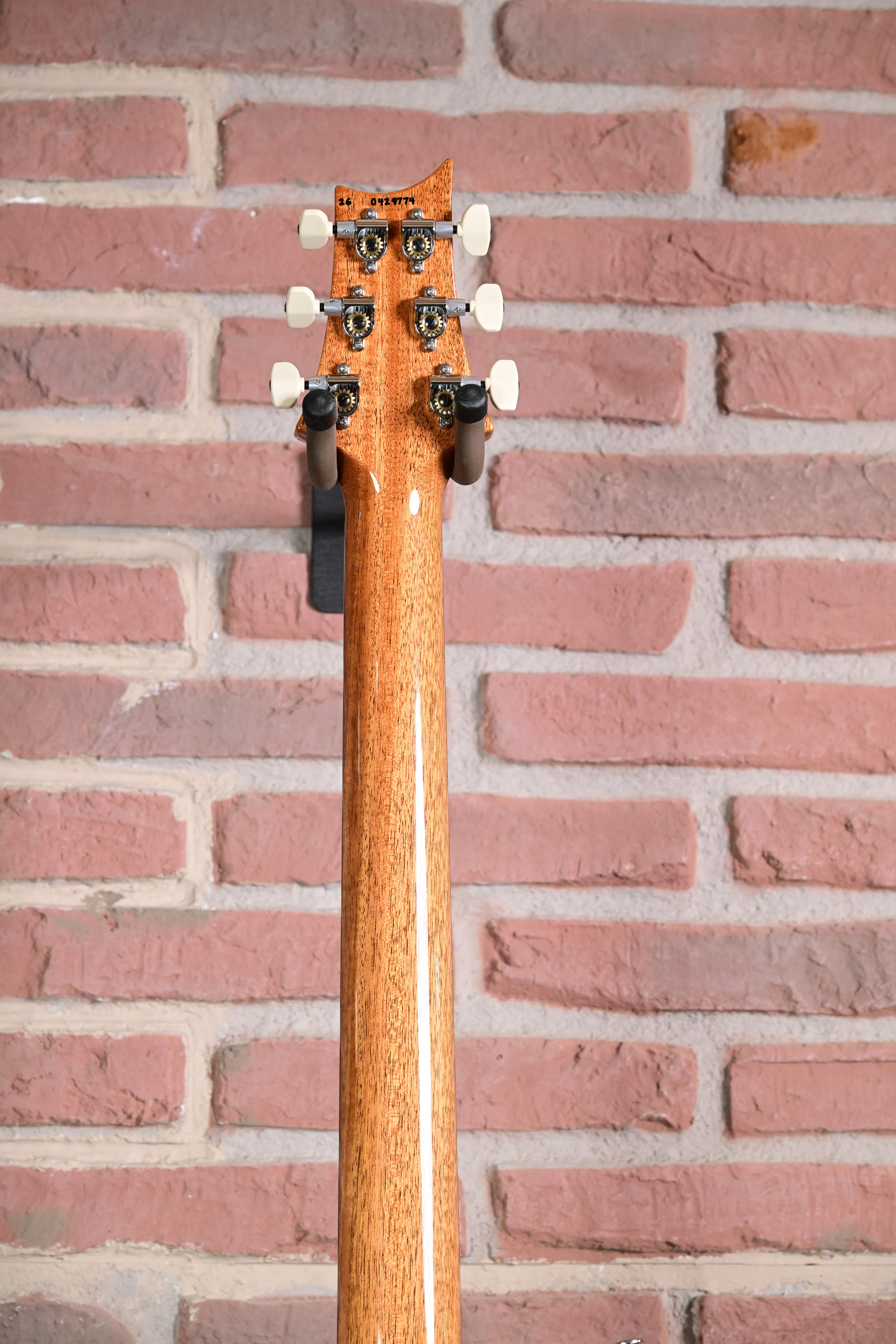 Custom 24 Birds of a Feather Limited Charcoal Microburst E-Gitarre