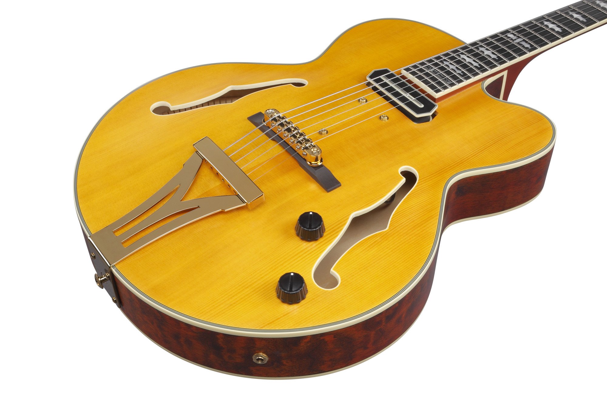 Signature PM3C-NAL Pat Metheny E-Gitarre 