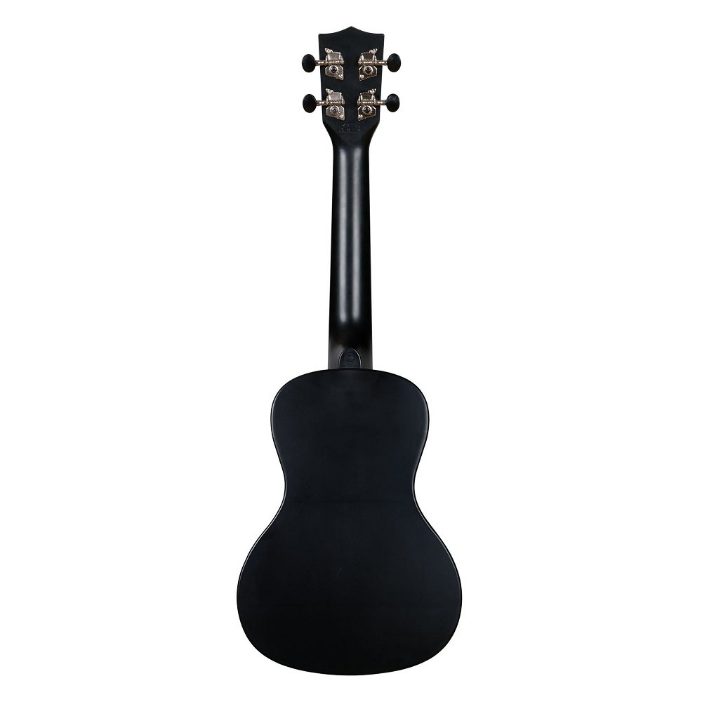 Waterman Recycled Concert Ukulele Black Sand
