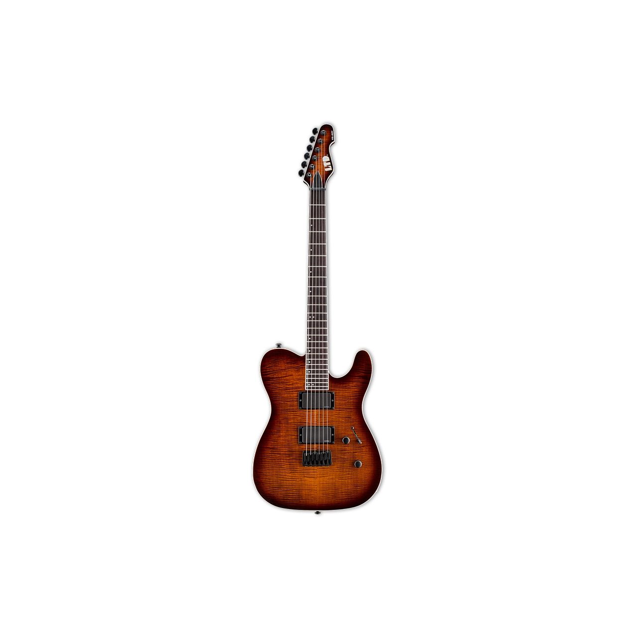 TE-401 FM DBSB - E-Gitarre