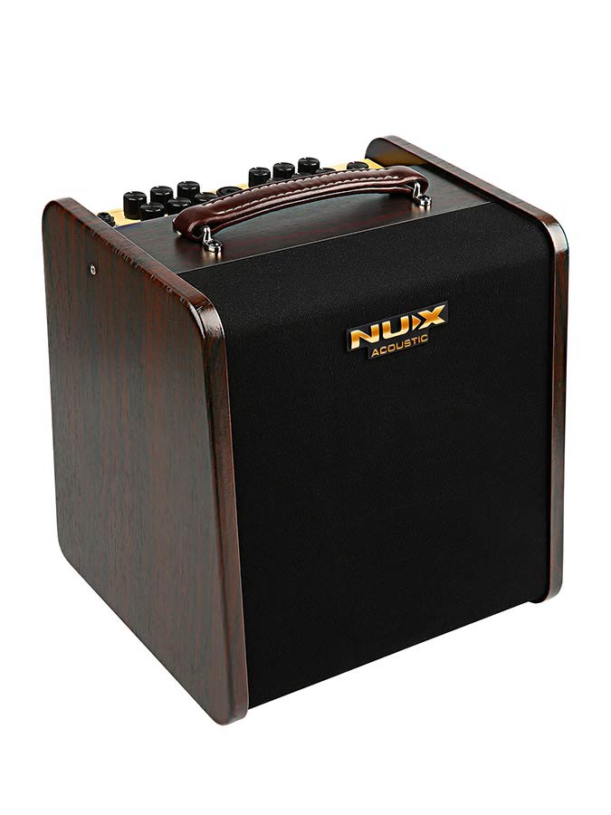 AC-80 Stageman II Akustik-Amp