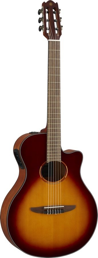NTX1 BS Brown Sunburst