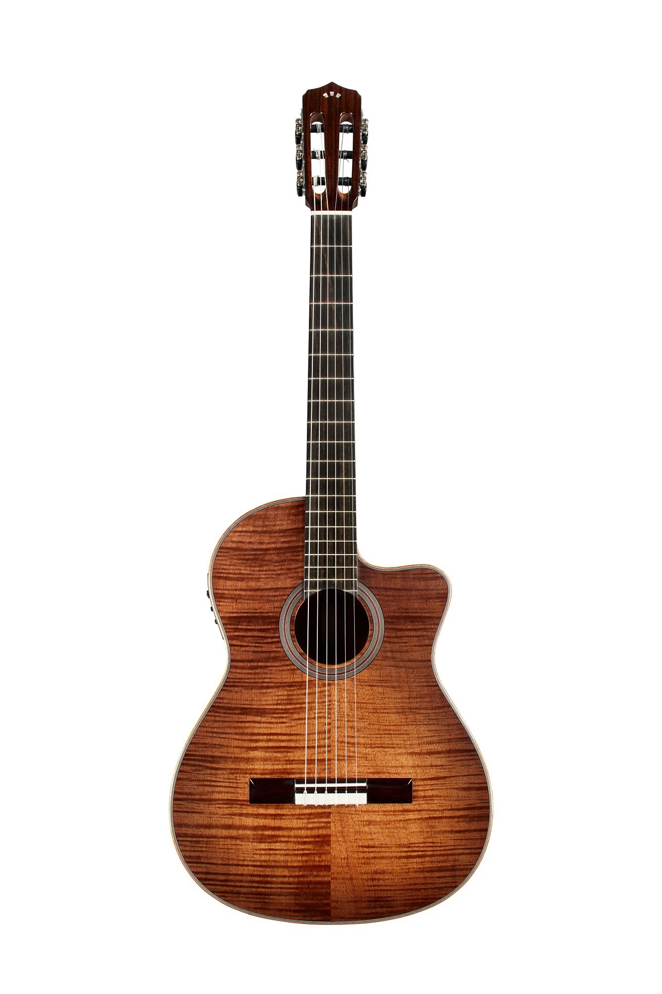 Fusion 12 Cinnamon Burst