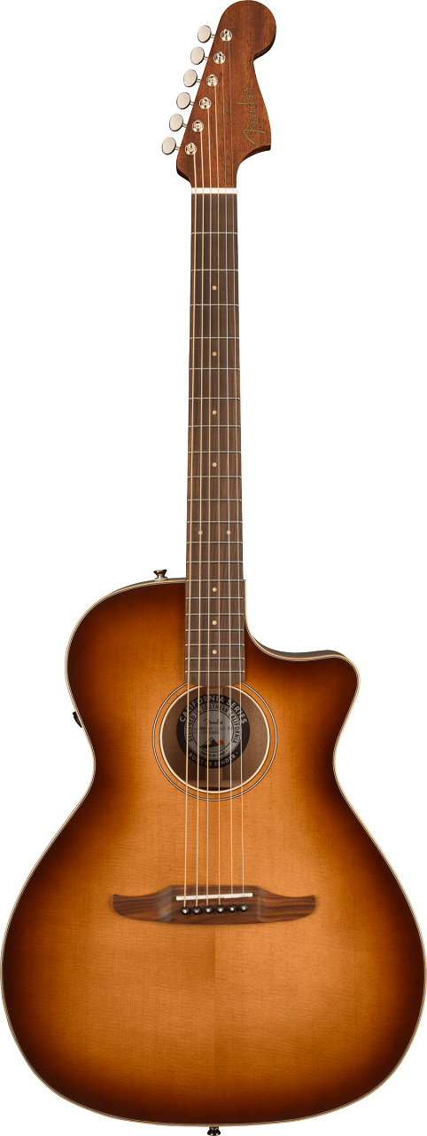 Newporter Classic with Gig Bag, Pau Ferro Fingerboard, Aged Cherry Burst 