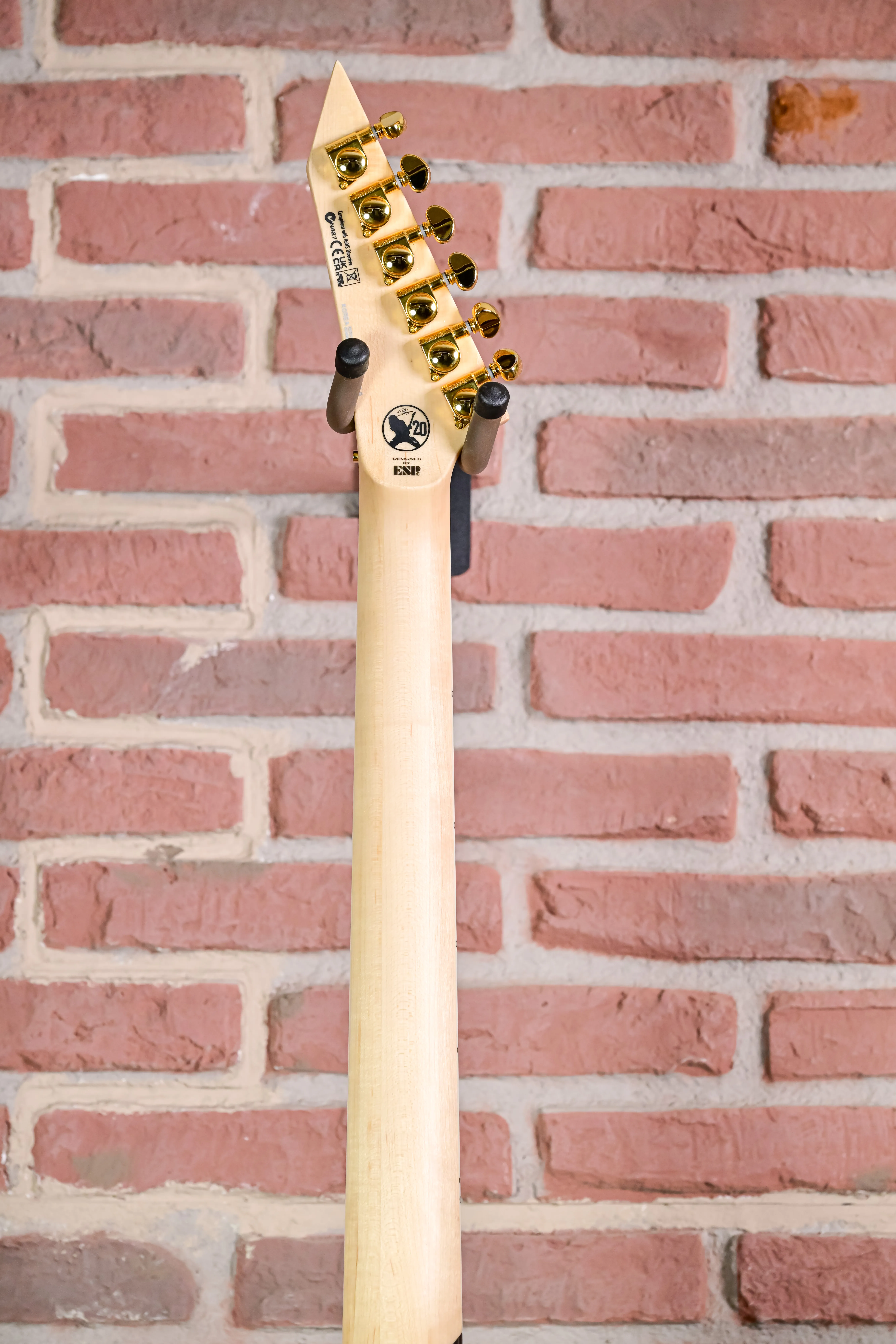 Alexi Laiho Arrowhead SE 20th Anniversary - Signature Guitar