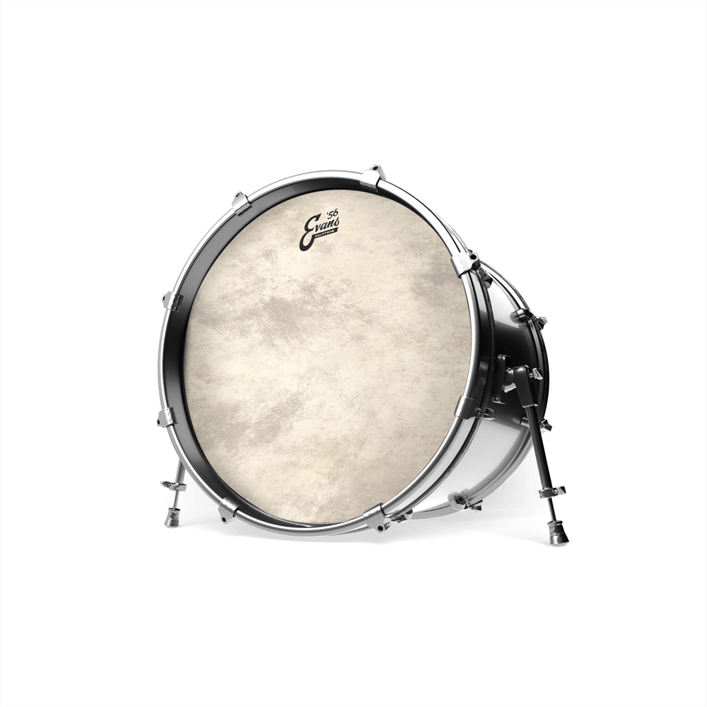 22" Calftone - Bass Drum Fell
