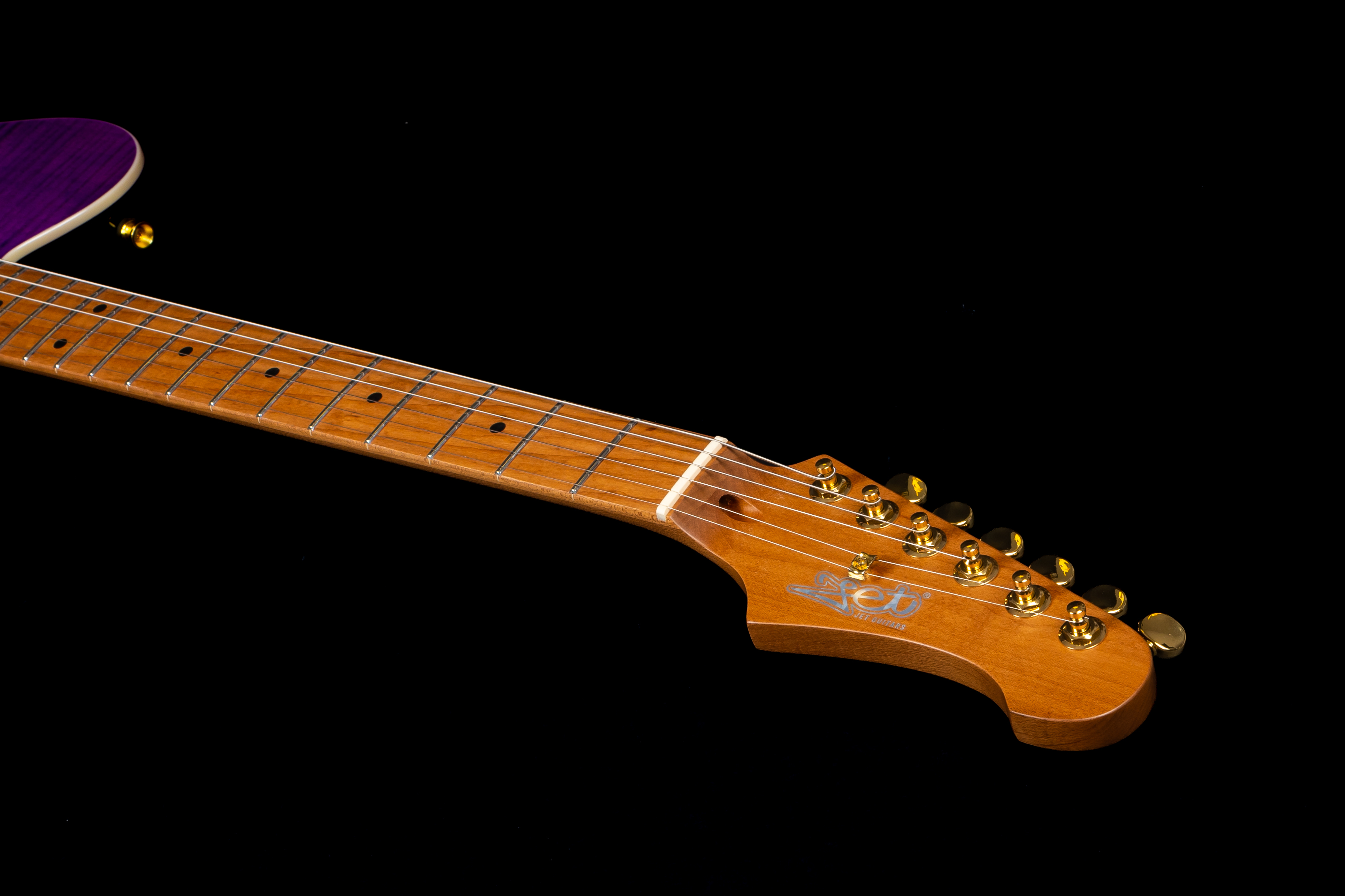 JT-600 PP G E-Gitarre  