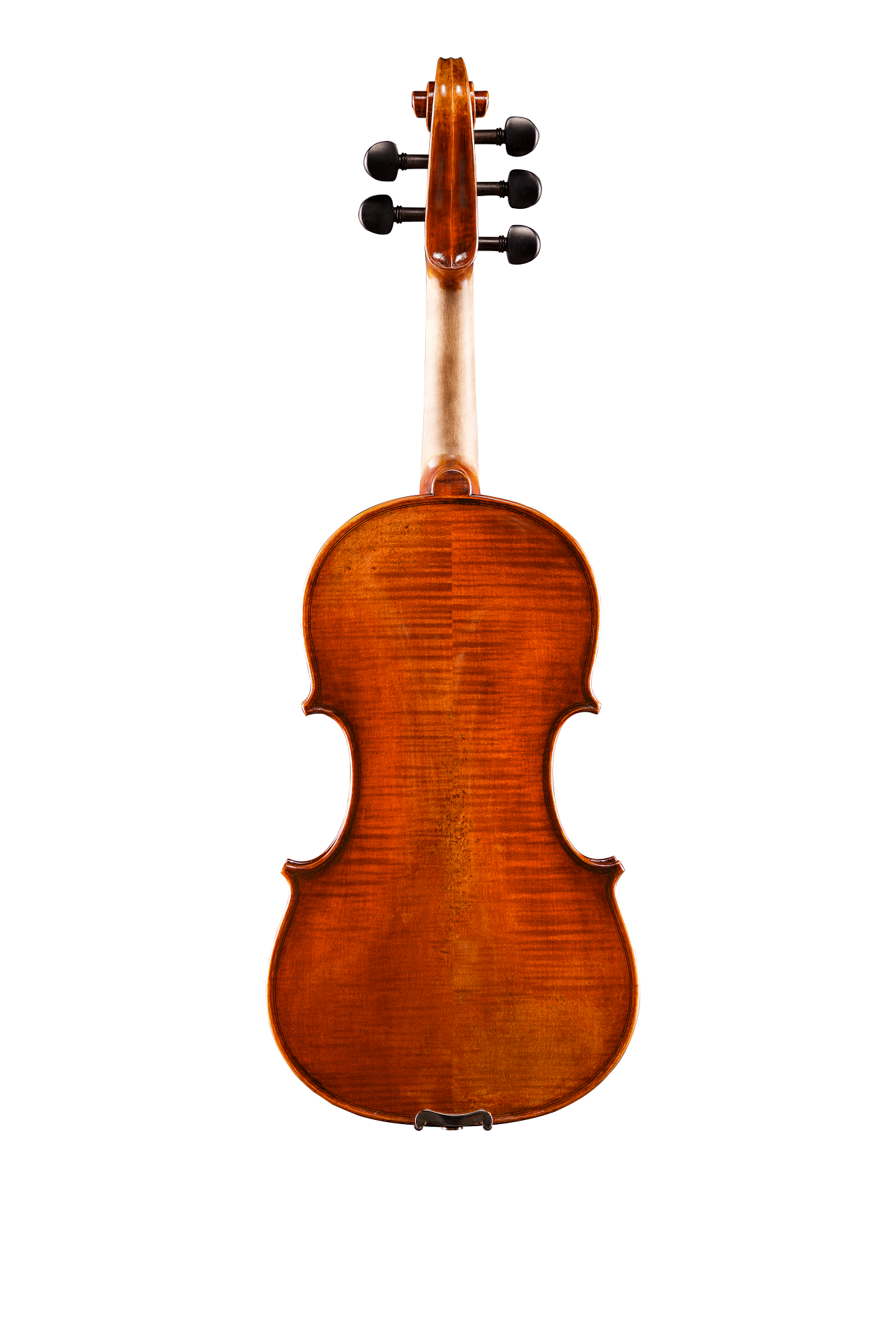 Rudoulf Doetsch 5-String VL7015 + Violin Guarneri