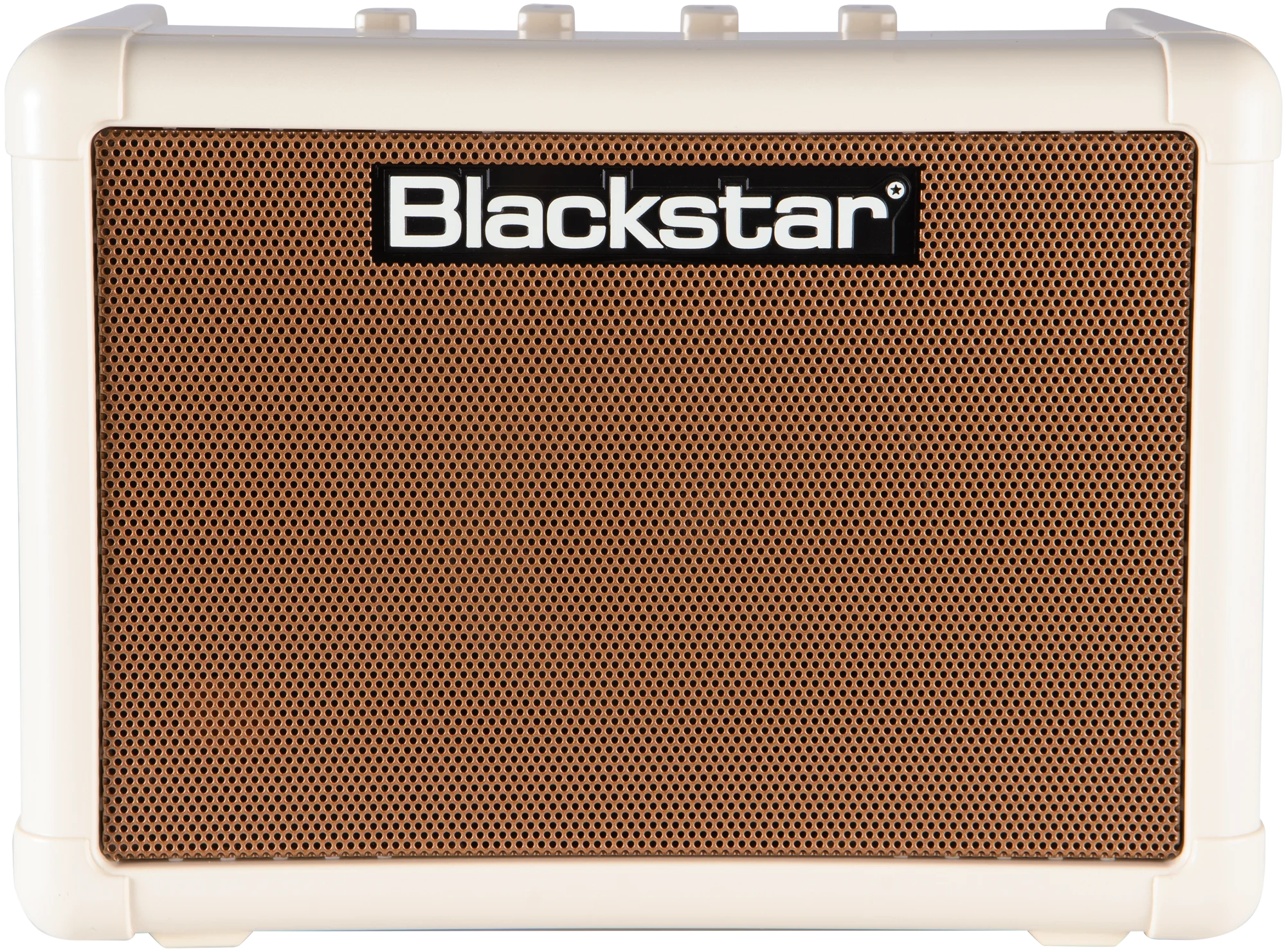 FLY 3 Acoustic Mini Amp