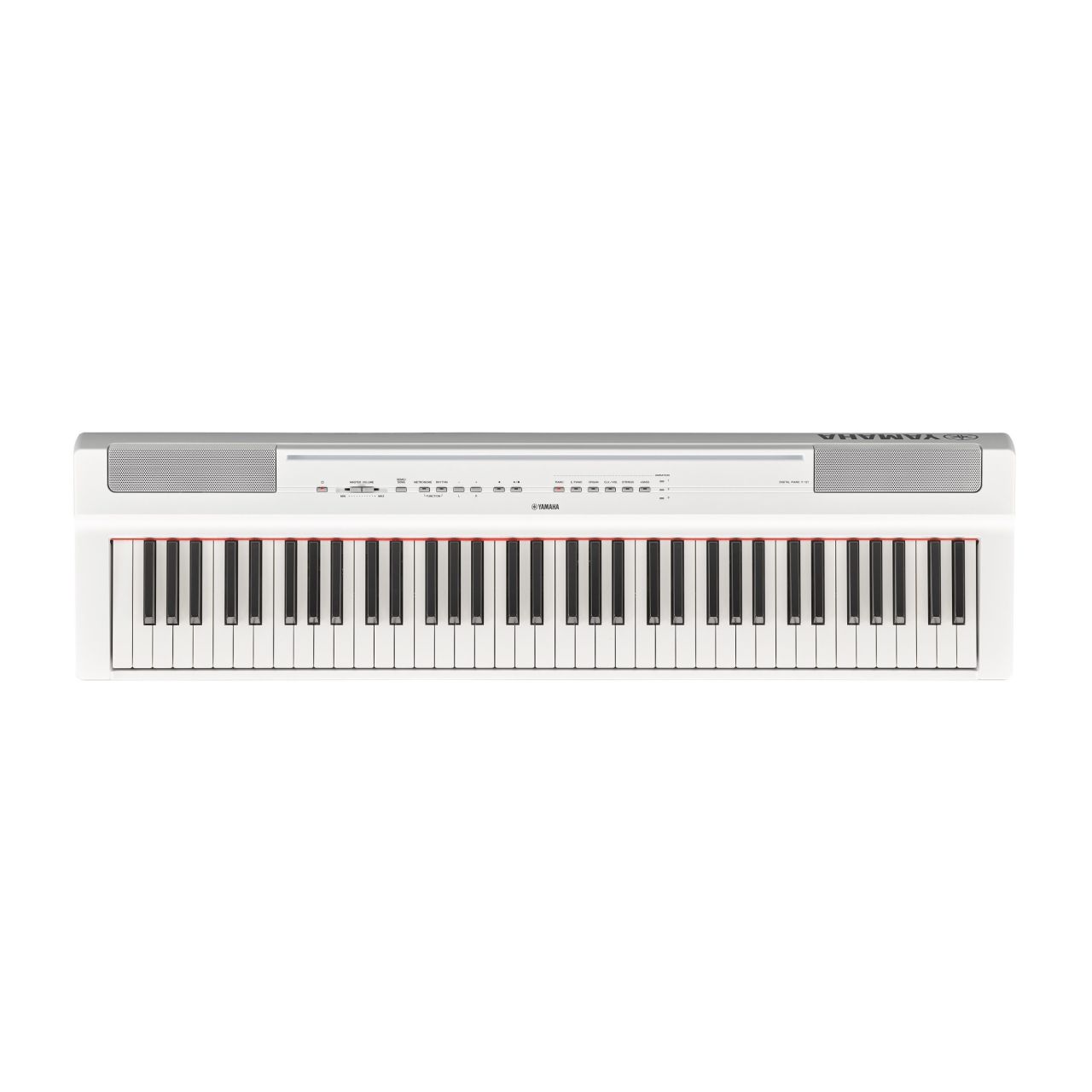 Stagepianos & Portable