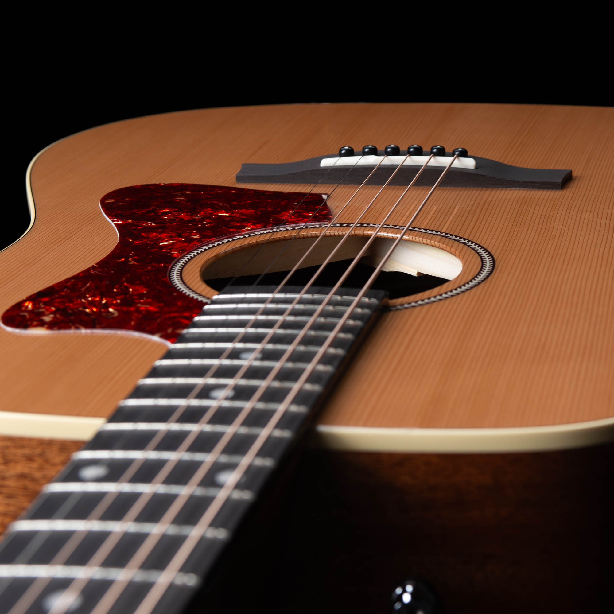 Century Maho Nat EQ