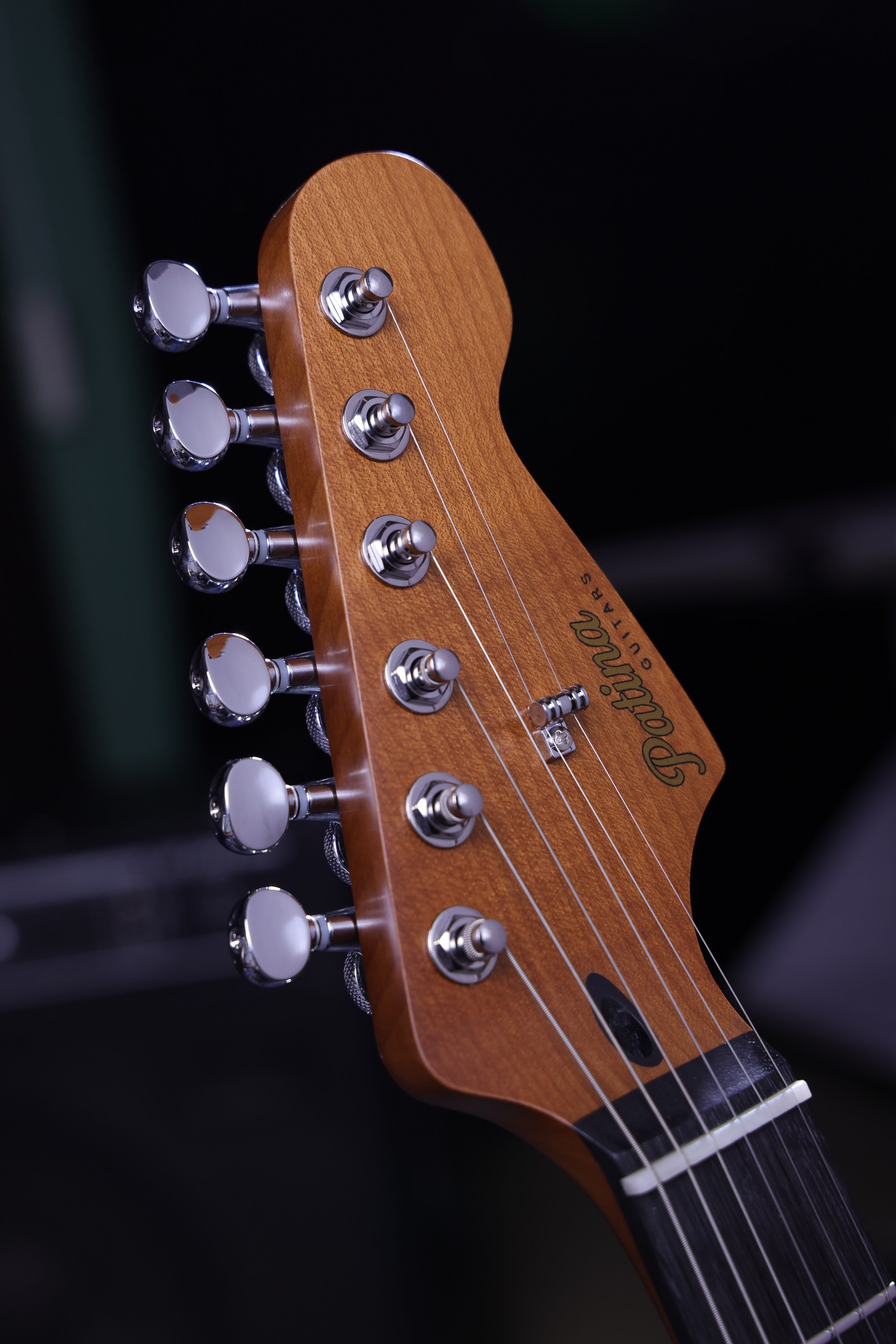 PT-6 SGR R Sherwood Green Relic E-Gitarre