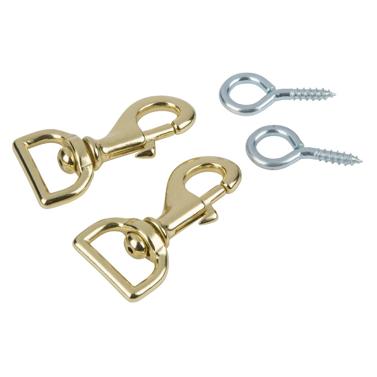 Strap Locks Clasps with Eye Hooks