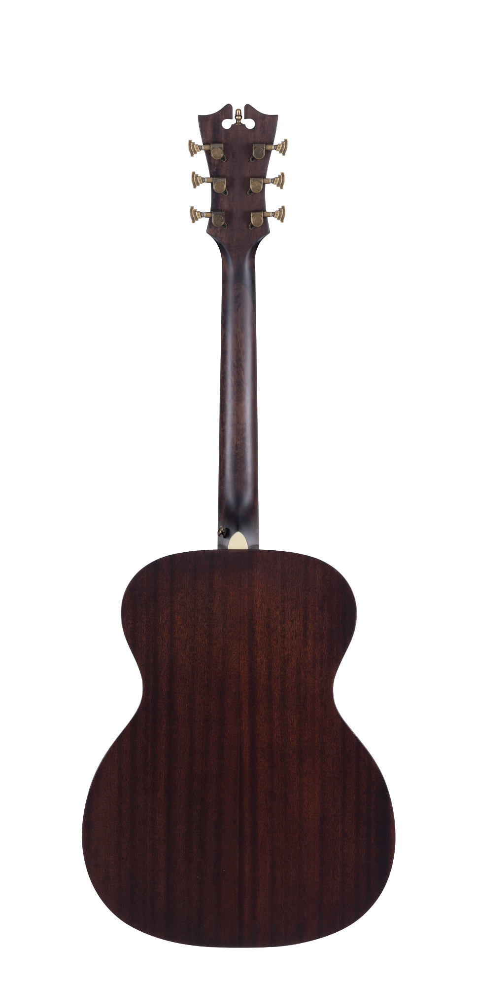 Premier Tammany Natural